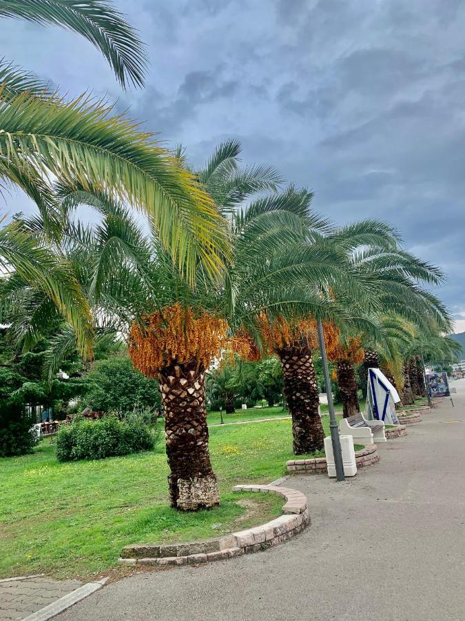 Apartman Ana Zeleni Pojas Bar Kültér fotó