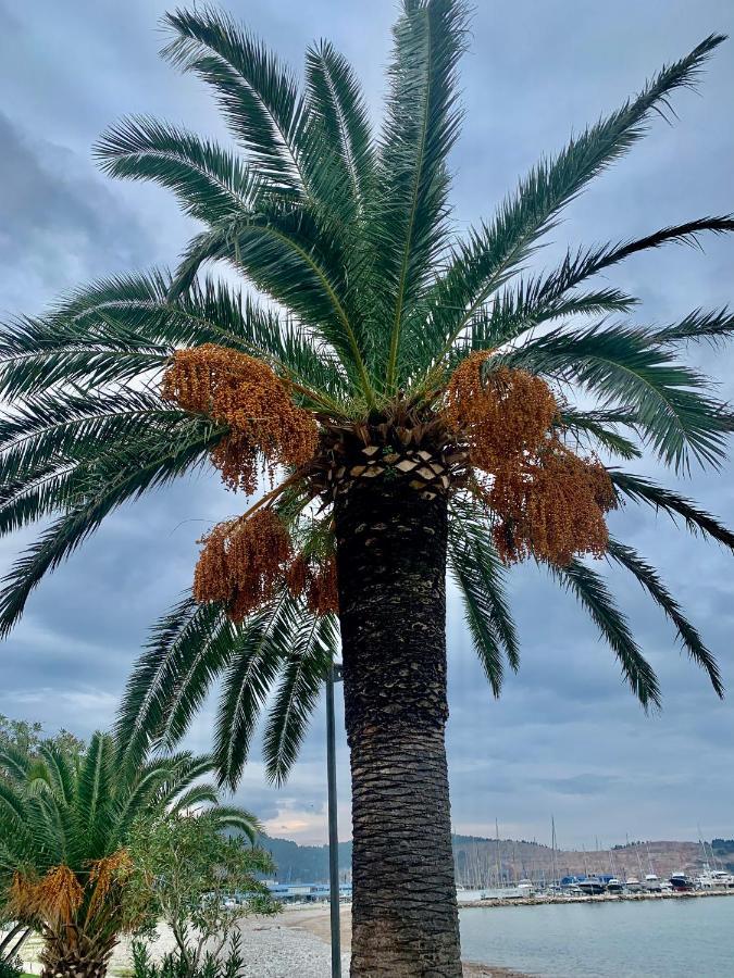 Apartman Ana Zeleni Pojas Bar Kültér fotó